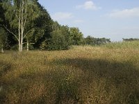 122-390, Alphen-Chaam