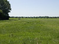 124-388, Z, 30-05-2011, NL-Willem van Kruijsbergen, 51.484124 NB-4.947884 OL, Alphen-Chaam