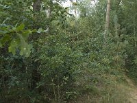 124-389, Alphen-Chaam