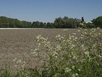 125-389, N, 2011-05-03, NL-Jan van der Straaten, 125589-389597, Alphen-Chaam