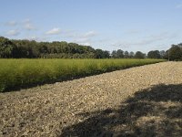 125-389, N, 2011-10-26, NL-Willem van Kruijsbergen, 51.494694 NB-4.962449 OL, Alphen-Chaam