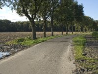 125-389, W, 2011-10-26, NL-Willem van Kruijsbergen, 51.494694 NB-4.96244 OL, Alphen-Chaam