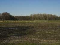 138-380, Reusel-De Mierden