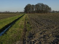 138-380, O, 2013-01-13, NL-Jan van der Straaten, 138573-380470, Reusel-De Mierden