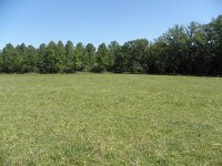 138-381,O,NL,Hans Jansen,  51.422344 NB, 5.149858 OL, Reusel-De Mierden : nlbeeld mei