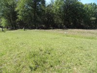 138-381,W,NL,Hans Jansen,  51.422344 NB, 5.149858 OL, Reusel-De Mierden : nlbeeld mei