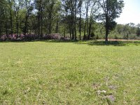 138-381,Z,NL,Hans Jansen,  51.422344 NB, 5.149858 OL, Reusel-De Mierden : nlbeeld mei