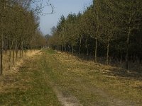 138-382, Hilvarenbeek