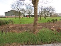 140-393, O, 2016-1-22, NL-Peter Vlamings, 140413-393500, Oisterwijk