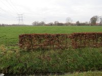 140-393, W, 2016-1-22, NL-Peter Vlamings, 140413-393500, Oisterwijk