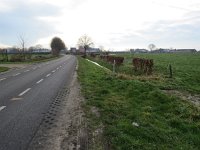 140-393, Z, 2016-1-22, NL-Peter Vlamings, 140413-393500, Oisterwijk