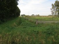 141-378, W, 2015-10-12, NL-Peter Vlamings, 141456-378506, Reusel-De Mierden