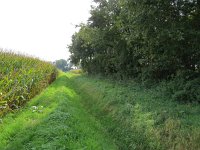 141-378, Z, 2015-10-12, NL-Peter Vlamings, 141456-378506, Reusel-De Mierden