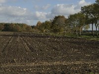 141-383, O, 2013-11-13, NL-Jan van der Straaten, 141250-383549, Hilvarenbeek