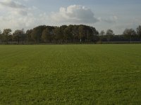 141-383, W, 2013-11-13, NL-Jan van der Straaten, 141250-383549, Hilvarenbeek