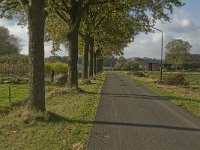 141-384, W, 2013-11-13, NL-Jan van der Straaten, 141237-384509, Hilvarenbeek