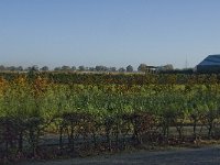 141-385, O, 2013-11-13, NL-Jan van der Straaten, 141284-385332, Hilvarenbeek