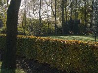 141-385, Z, 2013-11-13, NL-Jan van der Straaten, 141284-385332, Hilvarenbeek