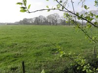 144-376, Z,NL-Hans Jansen, 51.376869 NB,  5.236614 OL, Bladel : NLinBeeld Casteren