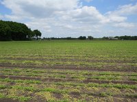 144-391, Hilvarenbeek