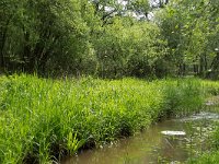 144-398,O, 08-05-2011, NL-Aad van Gelswijk, 51.575224 NB-5.234547 OL, Oisterwijk : 144-398, 2011, NL in beeld, Oisterwijk, Oost, Rozep