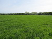 144-400, Z, 2015-5-10, NL-Peter Vlamings, 144523-400490, Haaren