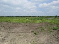 144-410, N, 2015-5-10, NL-Peter Vlamings, 144504-410527, Vught