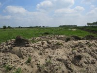 144-410, O, 2015-5-10, NL-Peter Vlamings, 144504-410527, Vught