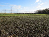 149-375, O, 2015-11-22, NL-Peter Vlamings, 149500-375000, Eersel