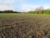 149-375, W, 2015-11-22, NL-Peter Vlamings, 149500-375000, Eersel