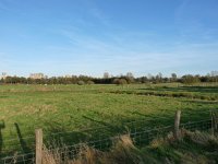 149-409, O, 2012-12-20, NL-Rob Brinkhof, 51.676845 NB -  5.306499 OL, 's-Hertogenbosch.