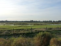 149-409, W, 2012-12-20, NL-Rob Brinkhof, 51.676845 NB -  5.306499 OL, 's-Hertogenbosch.