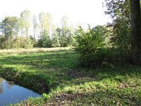 160-405, O, 14-10-2012, NL-PETER VLAMINGS, 160.568-405.466, SCHIJNDEL