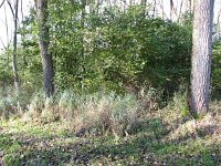 160-405, W, 14-10-2012, NL-PETER VLAMINGS, 160.568-405.466, SCHIJNDEL