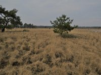 163-368, Heeze-Leende