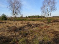 163-378, Heeze-Leende