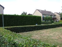 163-392, Son en Breugel