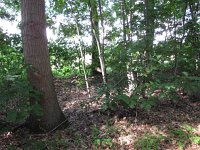 163-393, Sint Oedenrode