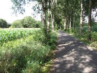 163-394, Sint Oedenrode