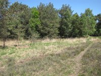 163-395, Sint-Oedenrode