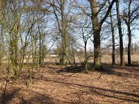 163-396, Sint-Oedenrode