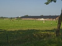 163-397, Sint-Oedenrode