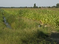 163-398, Sint-Oedenrode