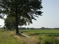 163-399, W, 2012-09-04, NL-Jan van der Straaten, 163500-399281, Sint-Oedenrode