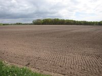 165-391, O, 2014-4-15, NL-Peter Vlamings, 165440-391523, Son en Breugel