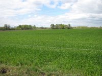 165-391, W, 2014-4-15, NL-Peter Vlamings, 165440-391523, Son en Breugel