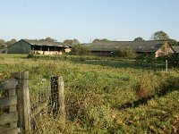 168-385, N, 2011-10-30, NL-Leo Schutter, 51.458841 NB-5.579720 OL, Nuenen, Gerwen en Nederwetten