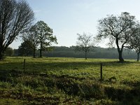 168-385, O, 2011-10-30, NL-Leo Schutter, 51.458841 NB-5.579720 OL, Nuenen, Gerwen en Nederwetten