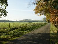 168-385, Z, 2011-10-30, NL-Leo Schutter, 51.458841 NB-5.579720 OL, Nuenen, Gerwen en Nederwetten