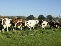 168-386, Nuenen, Gerwen en Nederwetten